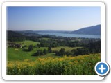 Tegernsee_Sommer_Manke_wiesseeblick_02