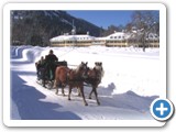 Tegernsee_Winter_Kutschfahrt_Wildbad_Kreuth