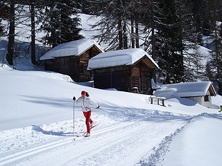 Langlauf, Loipe im Obergoms, Wallis