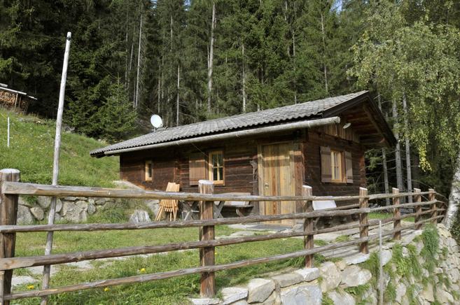ferienhaus mit hund italien