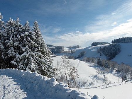 Winterurlaub in einer Ferienwohnung in der Feldberg-Region im Schwarzwald