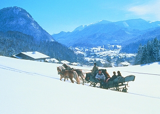 Pferdekutsche am Fuschlsee