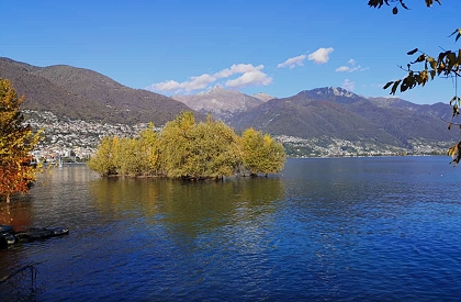 Urlaub in einer Ferienwohnung mit Hund am Lago Maggiore in Maccagno