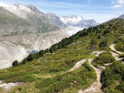 Ferienwohnung auf der Riederalp - Wanderung am Aletschgletscher