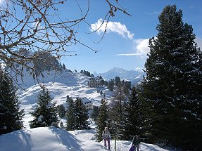 Riederalp mit Blick auf Villa Castel