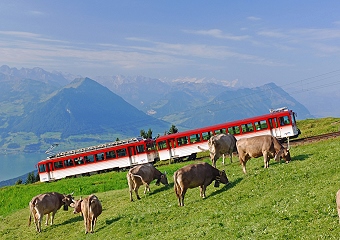 Rigi-Zahnradbahn am Vierwaldstättersee