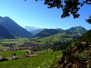Zweisimmen
