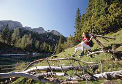 Wandern am Achensee