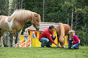 Streichelzoo in Adelboden