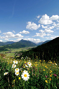 Flauchau in �sterreich