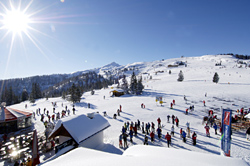 Flauchau in �sterreich