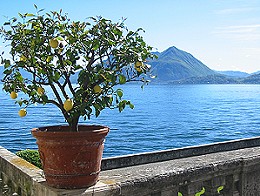 Blick auf den Lago Maggiore