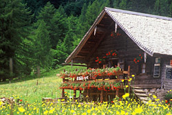 Gruberalm am Fuschlsee