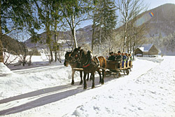 Fuschl im Winter