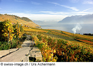 Herbststimmung am Genfersee, Schweiz