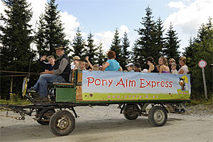 Pony Alm Express am Katschberg