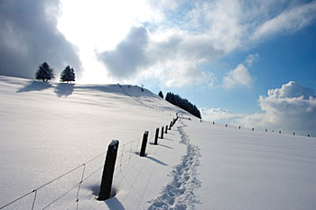 K�ssnacht im Winter