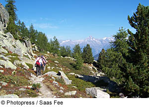 Saas Fee - Höhenweg nach Grächen