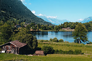 Blick auf den Burseeli, Goldswil