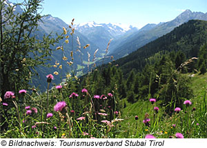Landschaft im Stubaital