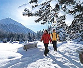Top Skigebiet für Winterwandern in Lenzerheide
