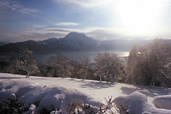 Traunsee im Winter