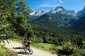 Radfahrer im Trentino