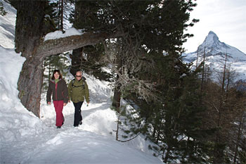 Winterwandern in Zermatt