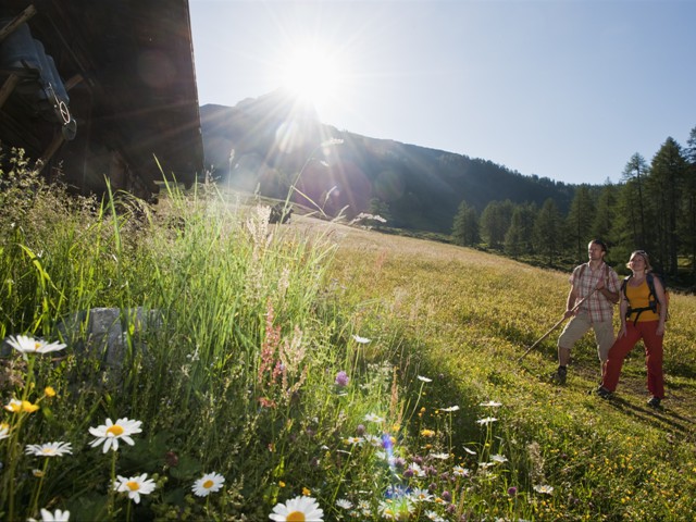 Filzmoos – Sommer auf der Sulzenalm