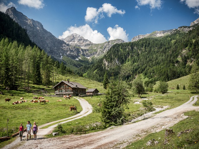 Wandern im Marbachtal bei Flachau, Österreich