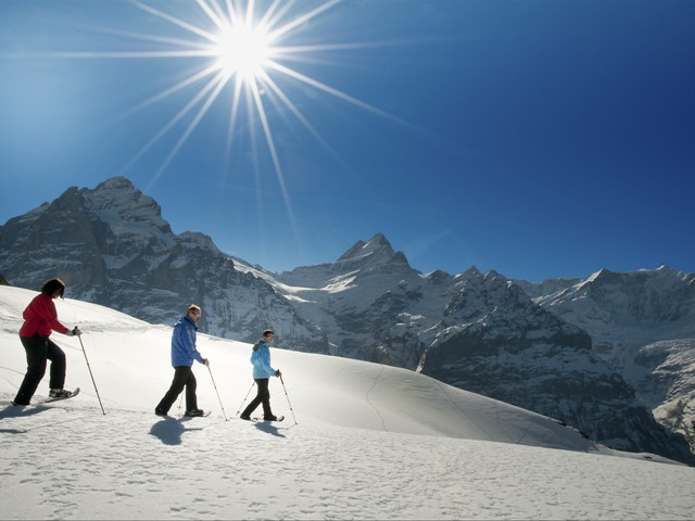 Schneeschuhwandern in Grindelwald, Jungfrau Region