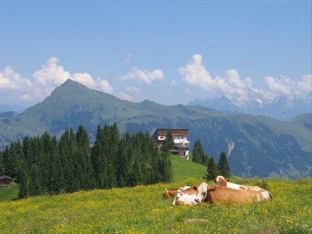 Sommer in Kitzbühel