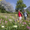 Leukerbad verfügt über ein Wanderwegnetz von über 200 Kilometern. 