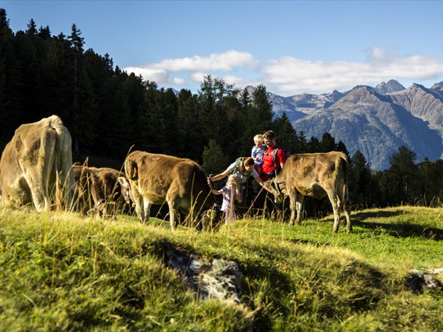 Ötztal Familienwanderung und Kühe