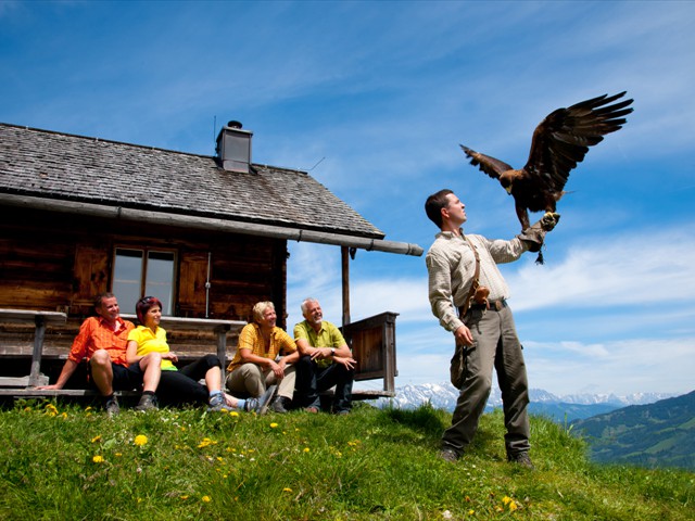 Rauris – Greifvogelschau Hochalmbahnen, Raurisertal