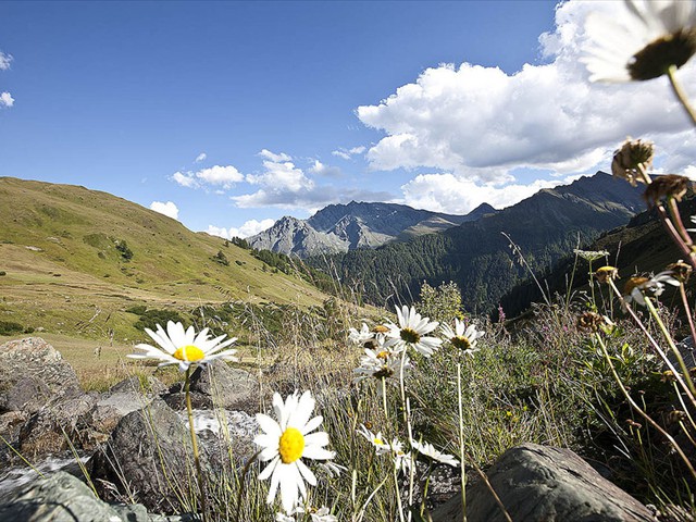 Sommer in Samnaun