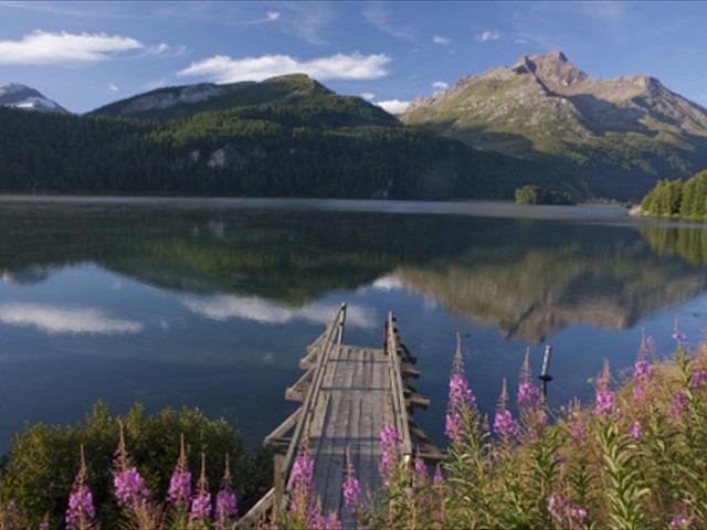 ENGADIN St. Moritz: Holzsteg am Silsersee 