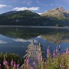 ENGADIN St. Moritz: Holzsteg am Silsersee 