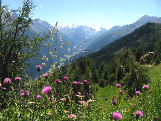 Sommerurlaub im Stubaital 