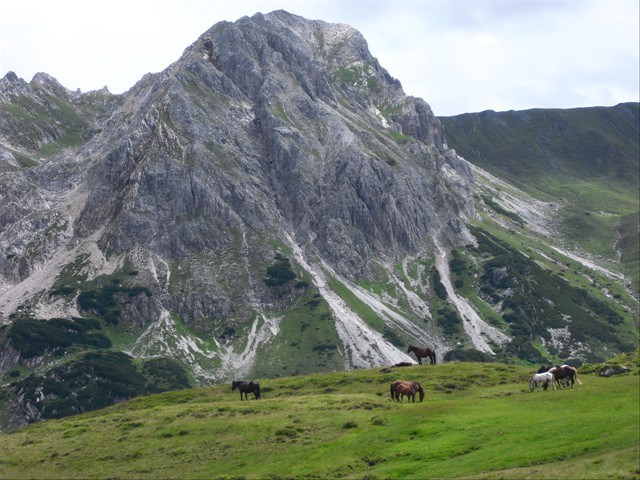 Wandeparadies in Wagrain-Kleinarl