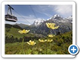 Schilthorn_Sommer_15_Kabine_Blumen