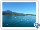 Vierwaldstaettersee_700_06