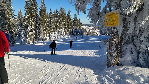 Urlaub in einer Ferienwohnung am Feldberg im Schwarzwald - Impressionen