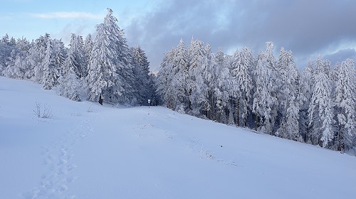 Wintermärchen im Allgäu