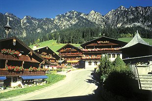 Ferienhaus oder Ferienwohnung im Alpbachtal