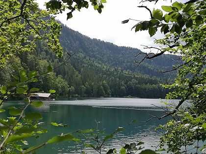 Der Alpsee in der Nähe von Füssen im Allgäu