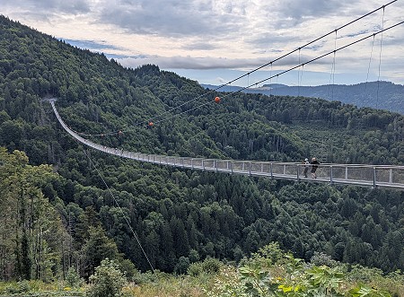 Blackforest Line Todtnau / Todtnauberg