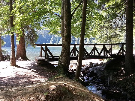 Urlaub in einer Ferienwohnung am Feldberg - Der Feldsee