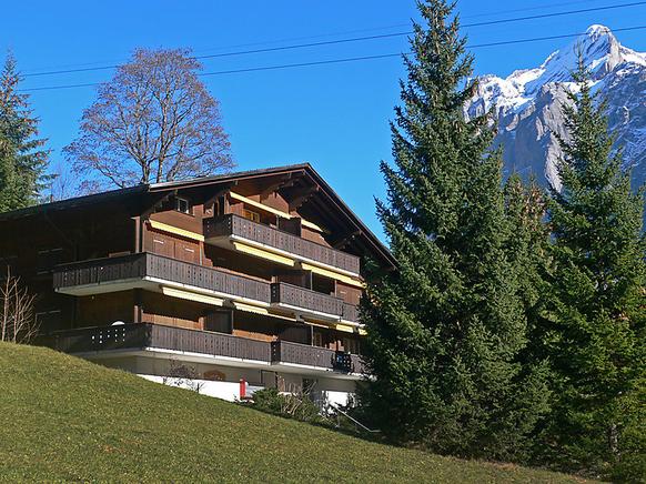 Ferienwohnung, Grindelwald, Berner Oberland Ferienwohnung, Grindelwald, Berner Oberland
