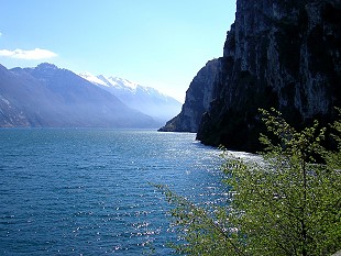 Blick auf den Gardasee